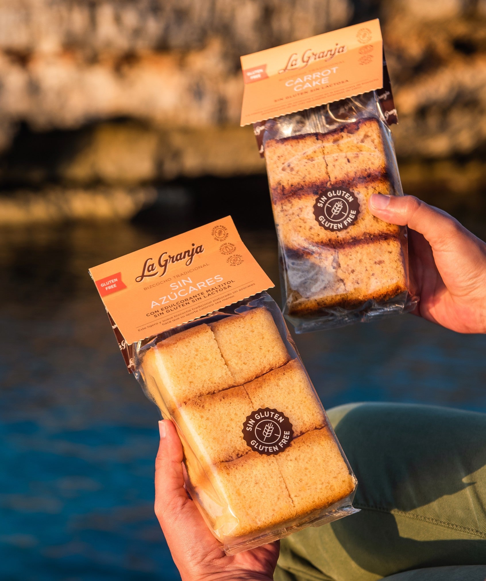 Bizcocho tradicional sin azúcares, sin gluten y sin lactosa