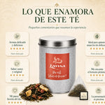 Té Rojo Pu-erh Silueta de Verano Lama en pirámides