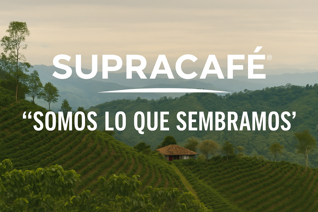 Supracafé: “Somos lo que sembramos”