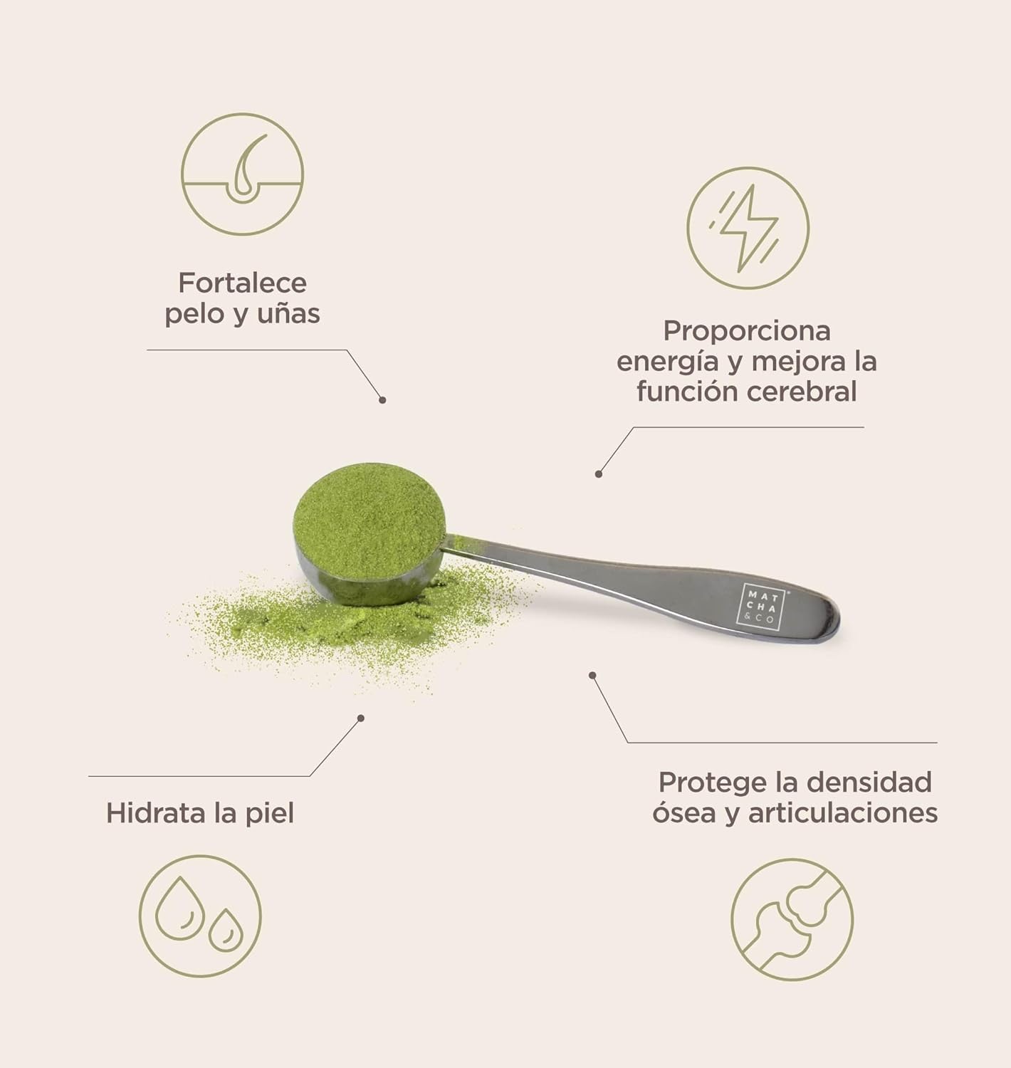 Colágeno con té matcha / vainilla