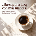 ¿Buscas una taza con más matices? Descubre la acidez brillante de Tarrazú. Costa Rica Tarrazú.
