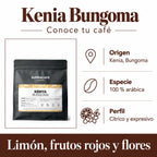 Kenia Bungoma: Origen · Kenia, Bungoma, Especie · 100 % arábica, Perfil · Cítrico y expresivo. Limón, frutos rojos y flores.