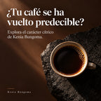 ¿Tu café se ha vuelto predecible? Explora el carácter cítrico de Kenia Bungoma. Kenia Bungoma.