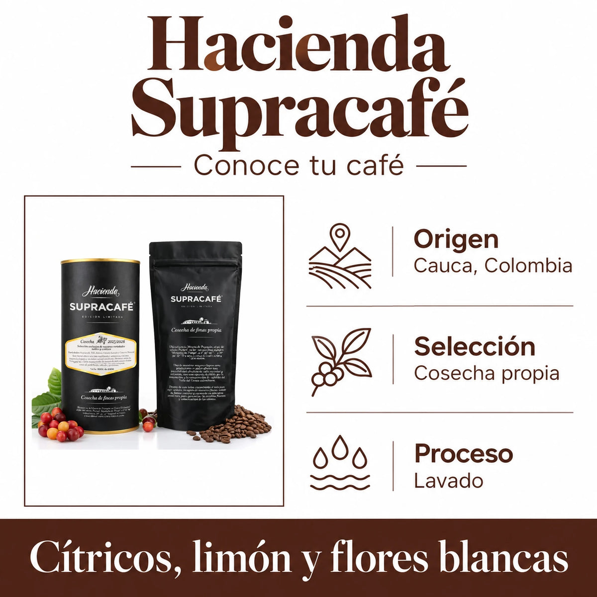 Hacienda Supracafé: Origen · Cauca, Colombia, Selección · Cosecha propia, Proceso · Lavado. Cítricos, limón y flores blancas.