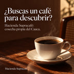 ¿Buscas un café para descubrir? Hacienda Supracafé: cosecha propia del Cauca. Hacienda Supracafé.