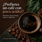 ¿Prefieres un café con poca acidez? Sumatra: gran cuerpo, cacao y especias. Sumatra Mandheling.