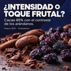 Chocolate negro 85% con arándanos · descubre su combinación de sabores