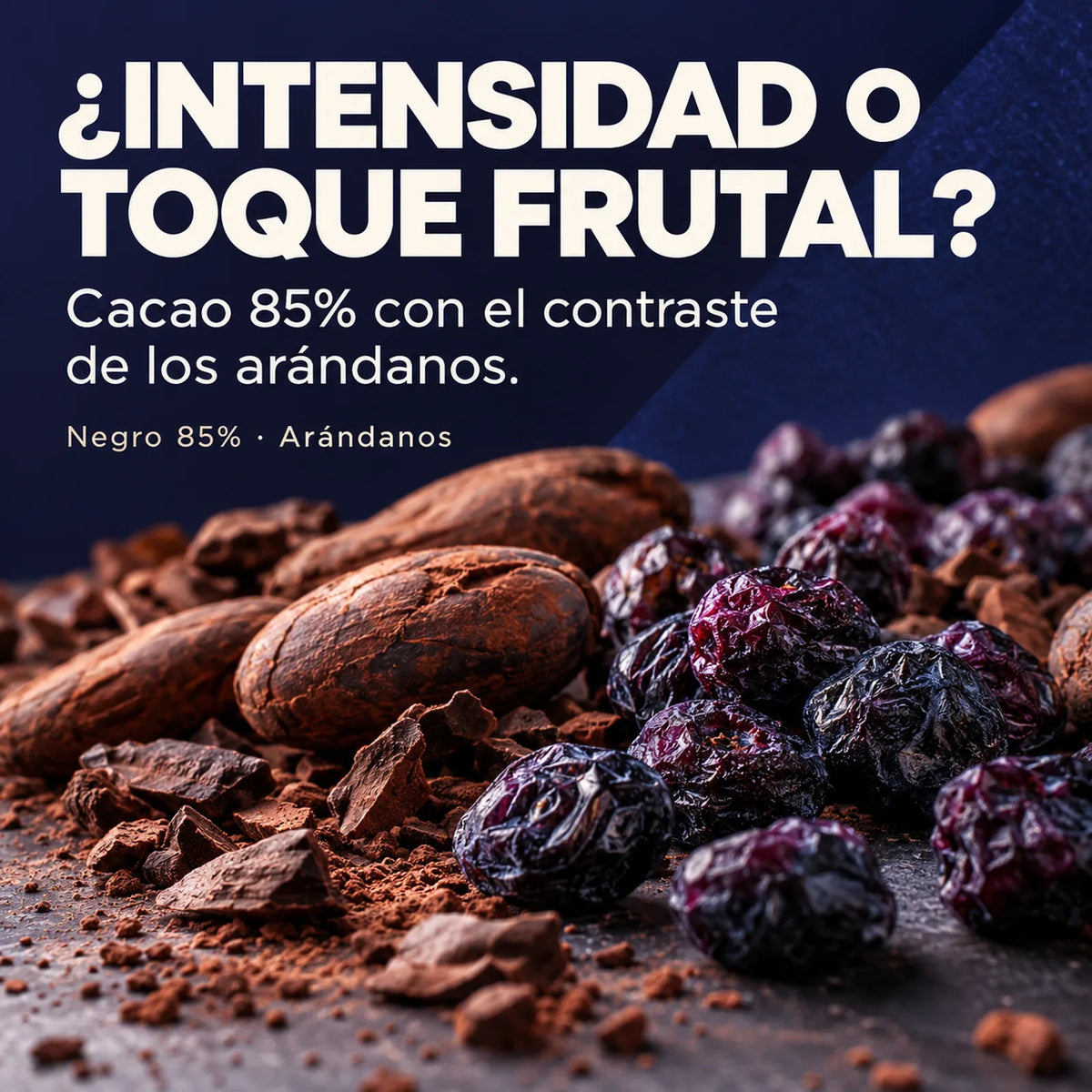 Chocolate negro 85% con arándanos · descubre su combinación de sabores