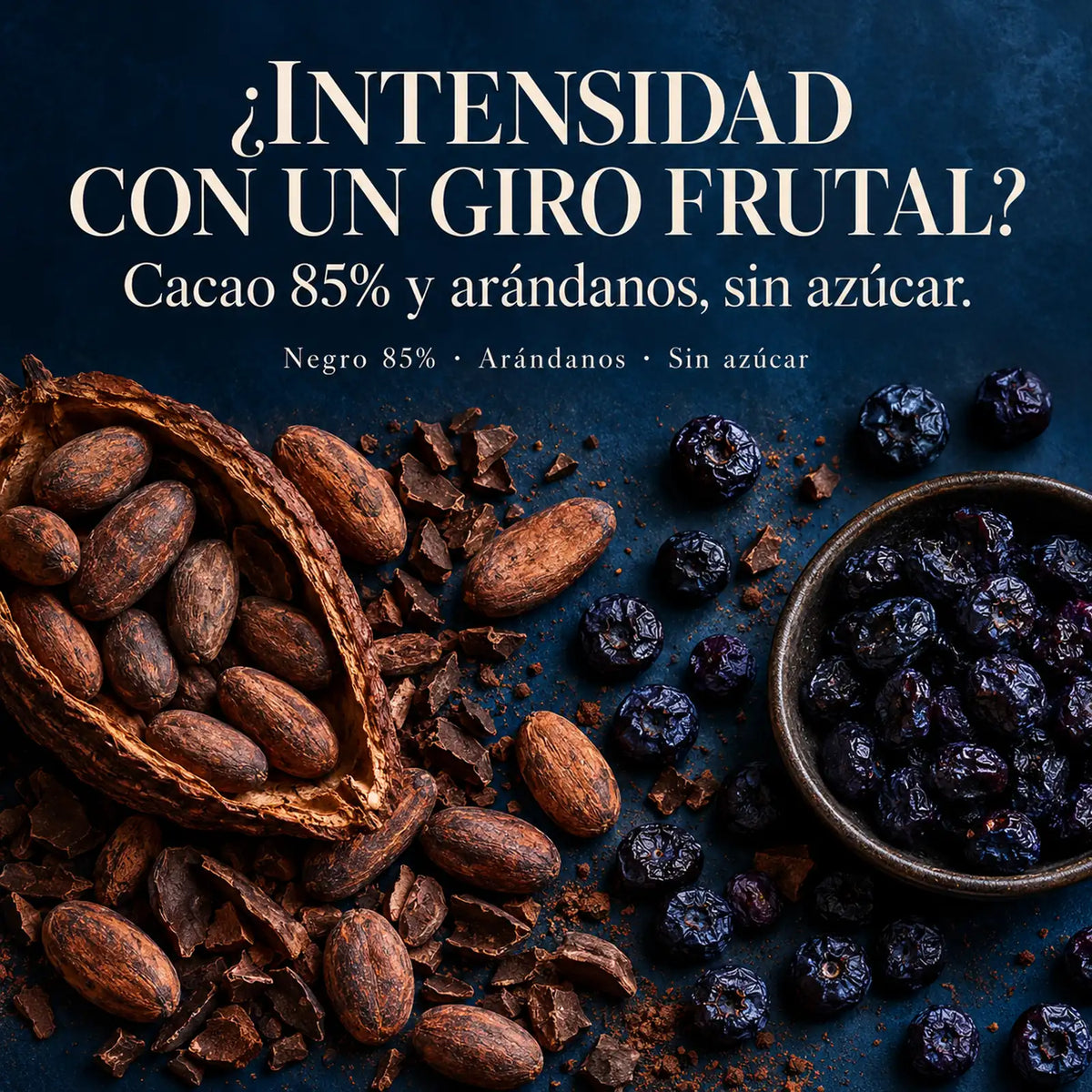 Chocolate Negro 85% sin azúcar con arándanos · descubre su combinación de sabores