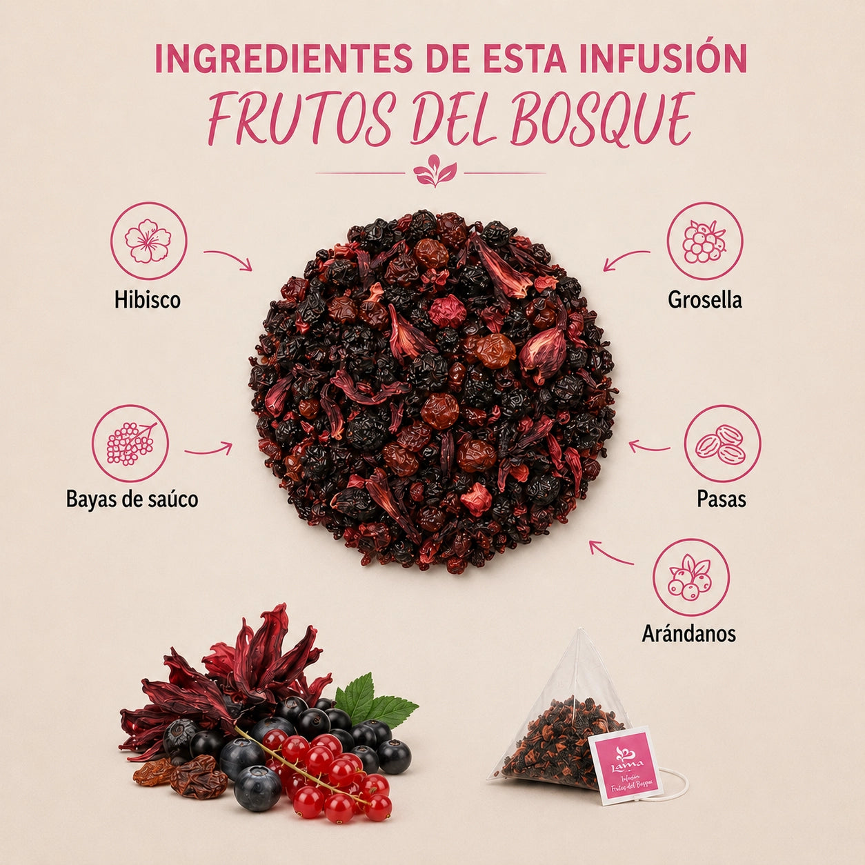Infusión de Frutos del Bosque Lama en pirámides