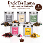 Pack Té Lama: 5 botes de té e infusiones en pirámides de hoja entera — manzanilla, verde Touareg, chai negro, frutos del bosque y fresa-plátano